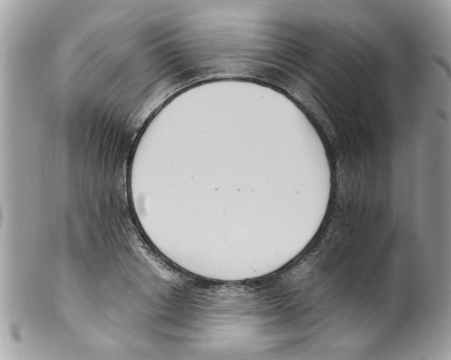 X0000098140842200805151138