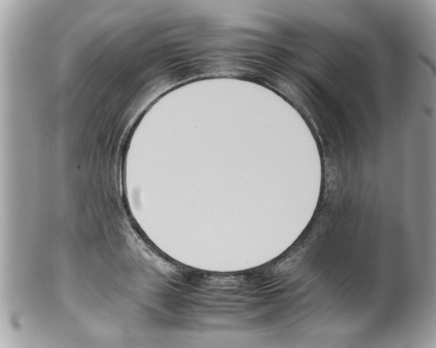 X0000098140843200805151138