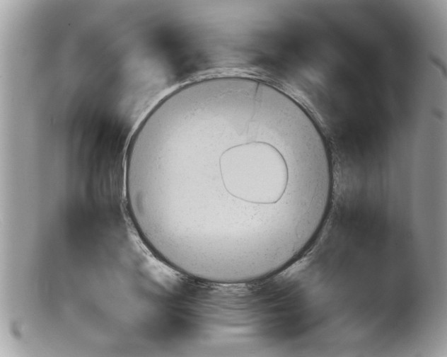 X0000098140844200805151138