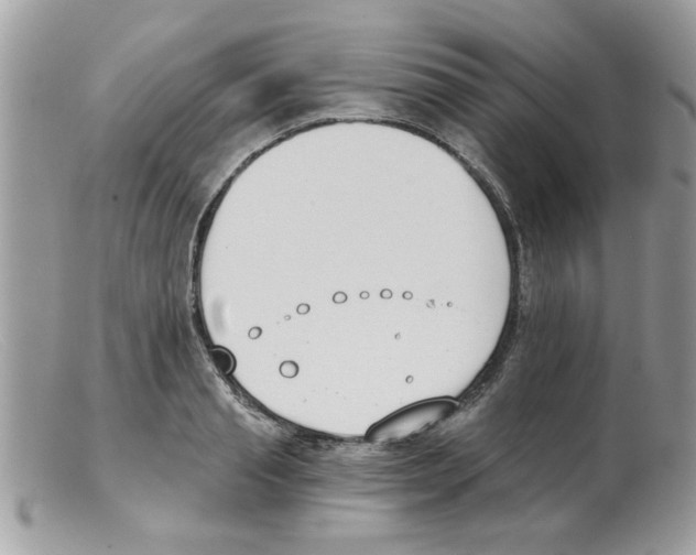 X0000098140845200805151138