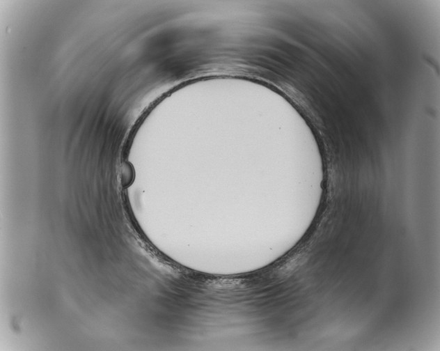 X0000098140846200805151138