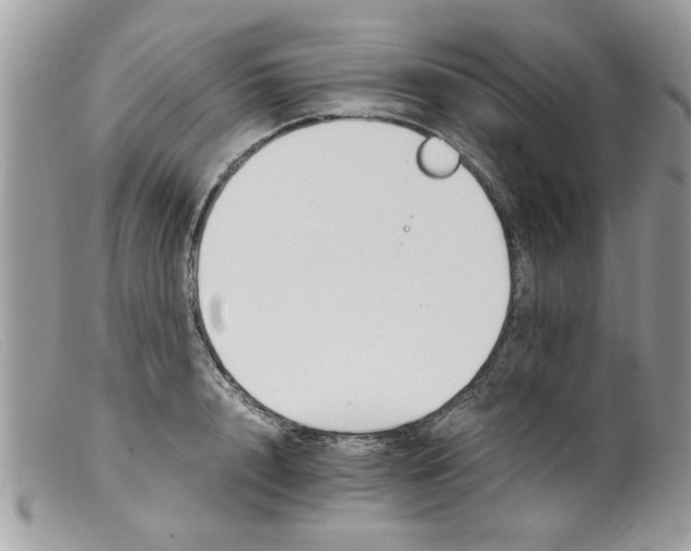 X0000098140848200805151138