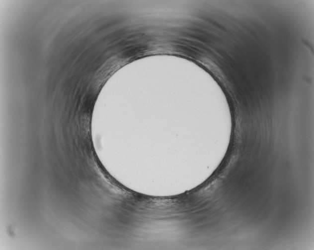 X0000098140849200805151138