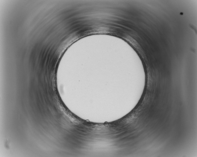 X0000098140850200805151138