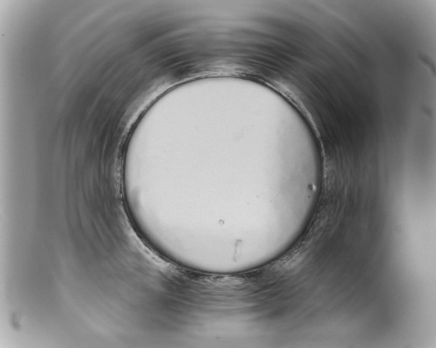 X0000098140851200805151138