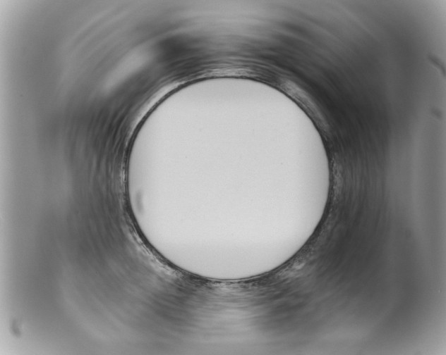 X0000098140852200805151138