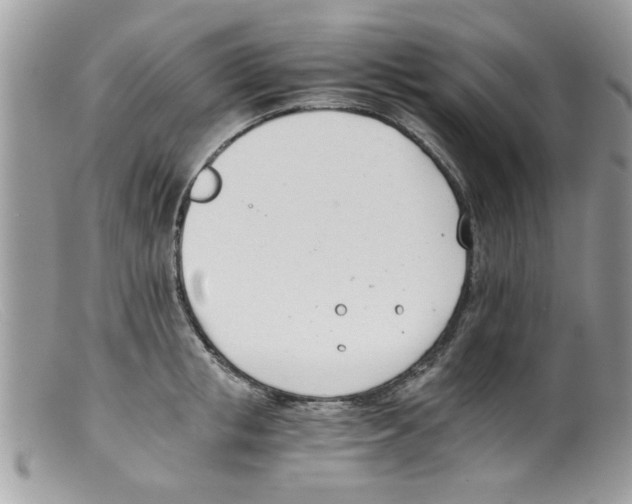 X0000098140853200805151138