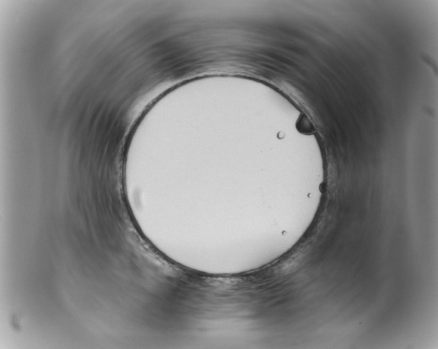 X0000098140854200805151138