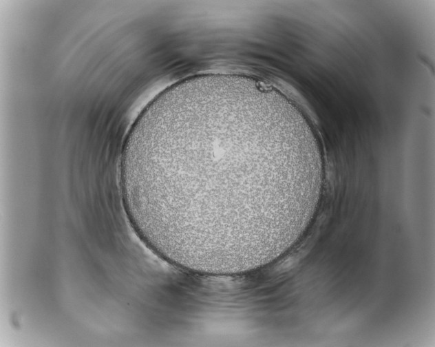 X0000098140855200805151138