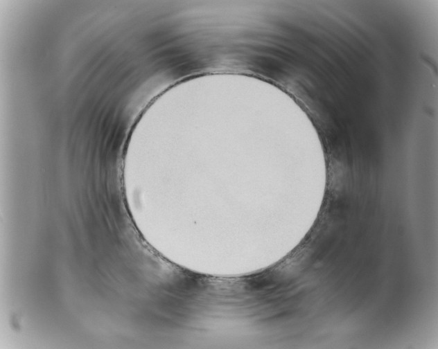 X0000098140856200805151138