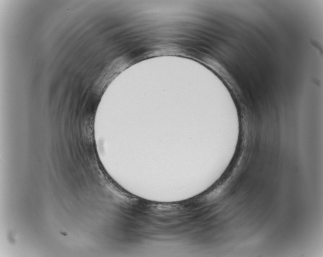 X0000098140857200805151138