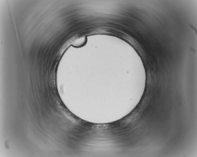 X0000098140858200805151138