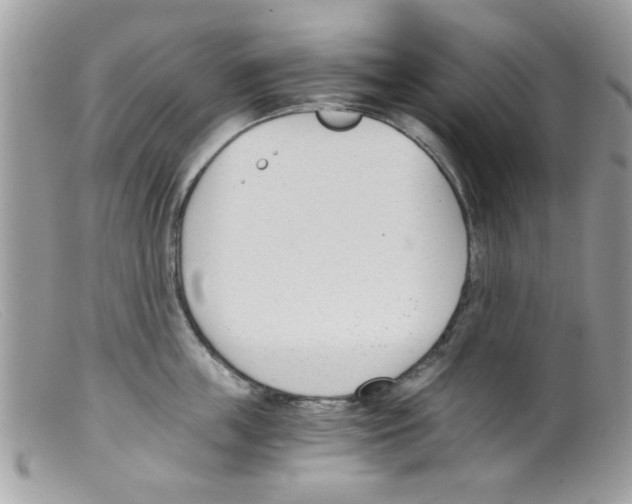 X0000098140859200805151138