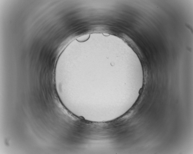 X0000098140860200805151138