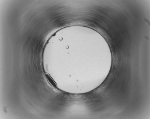 X0000098140862200805151138