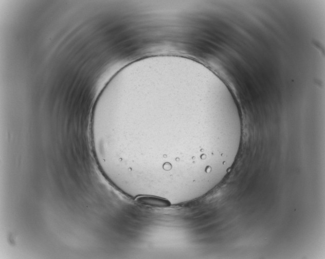 X0000098140863200805151138