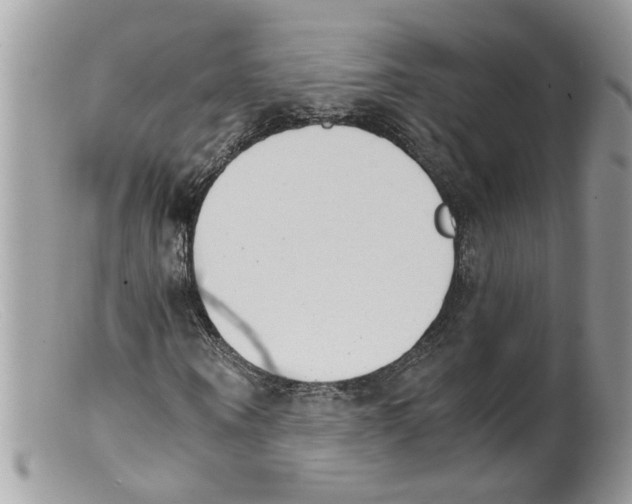 X0000098140866200805151138