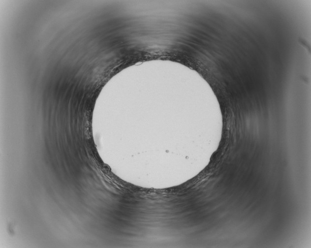 X0000098140868200805151138