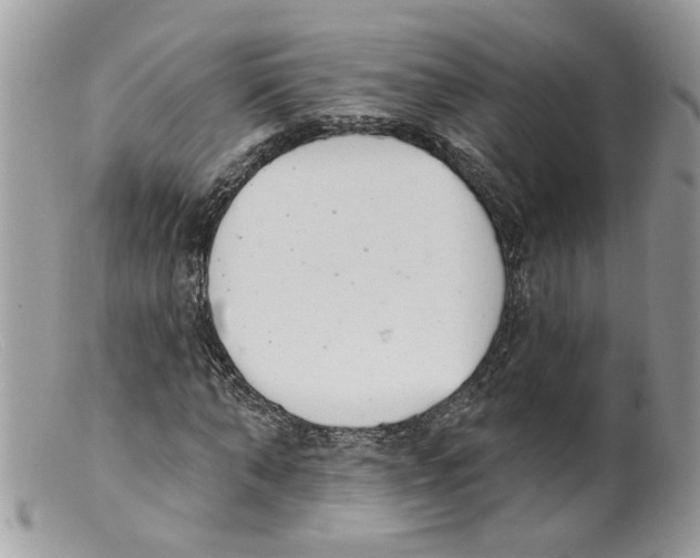 X0000098140870200805151138