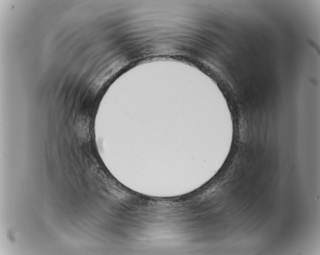 X0000098140873200805151138