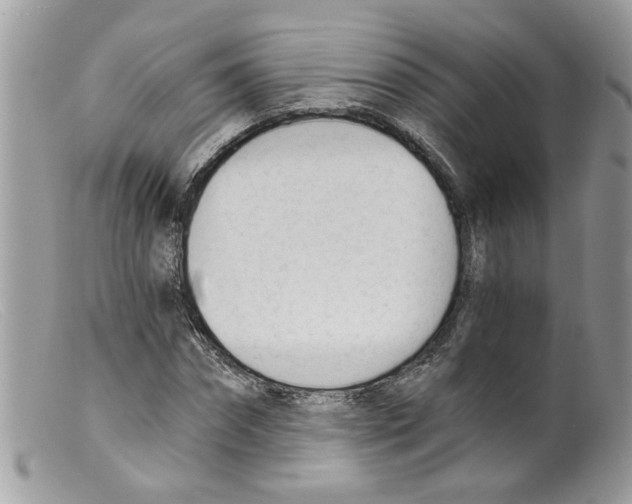 X0000098140874200805151138