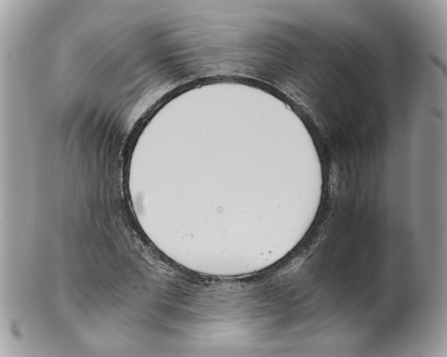 X0000098140877200805151137