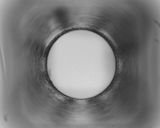 X0000098140878200805151137