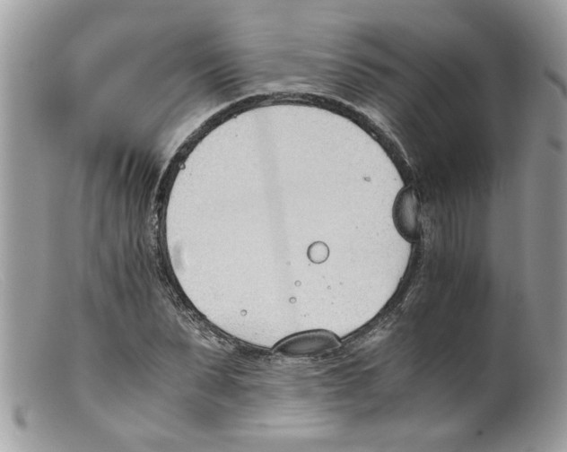 X0000098140879200805151137