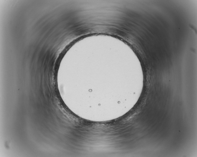 X0000098140880200805151137