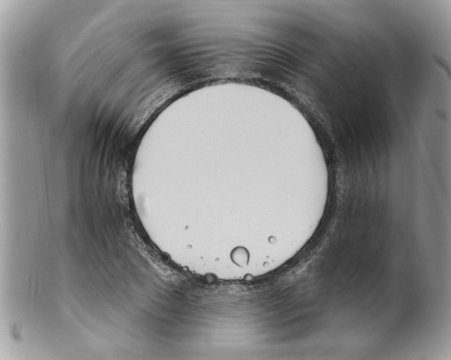 X0000098140881200805151137