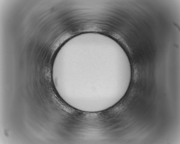 X0000098140882200805151137