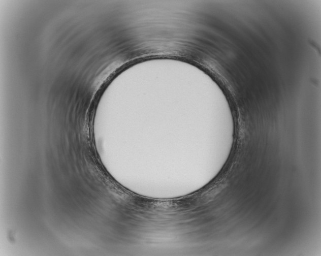 X0000098140883200805151137