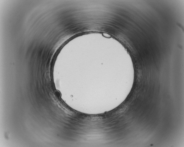 X0000098140884200805151137