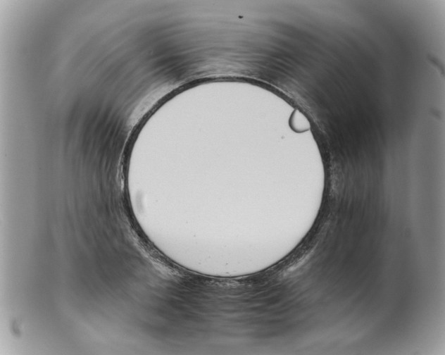 X0000098140885200805151137