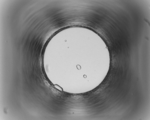 X0000098140888200805151137