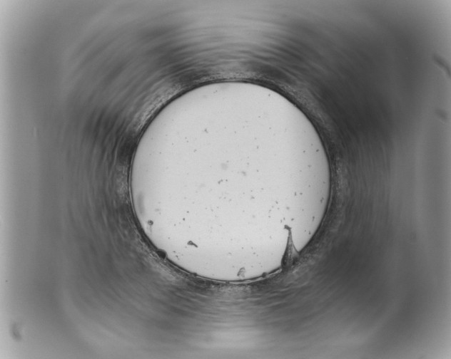 X0000098140889200805151137