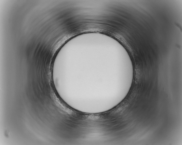 X0000098140890200805151137