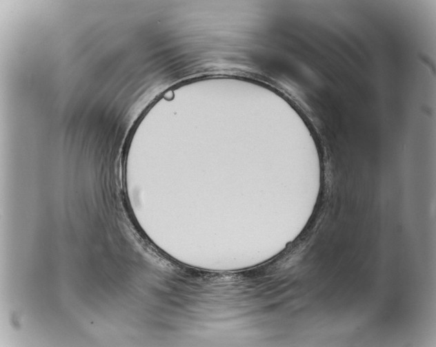 X0000098140891200805151137