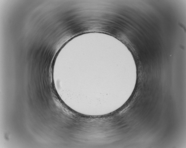 X0000098140892200805151137