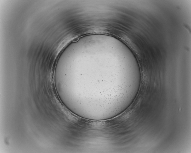 X0000098140893200805151137