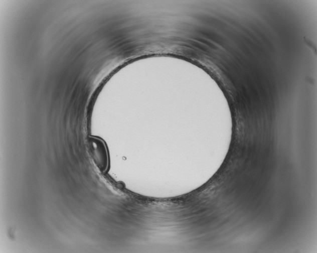 X0000098140894200805151137