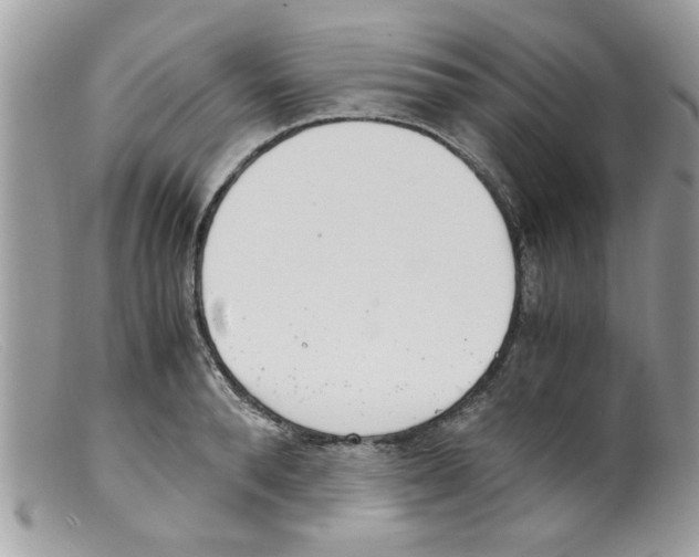 X0000098140896200805151137