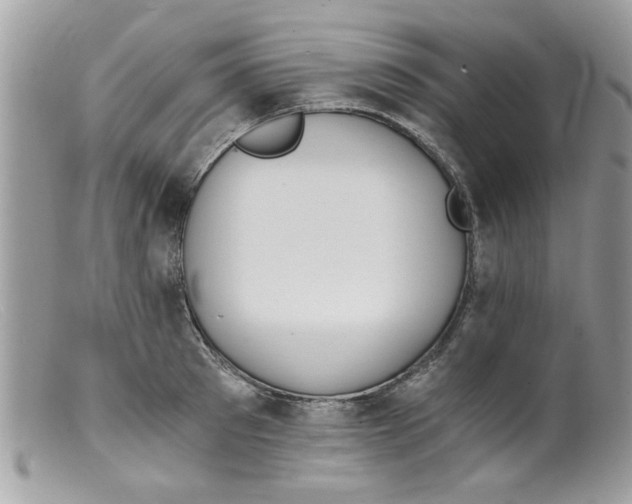 X0000098140897200805151137