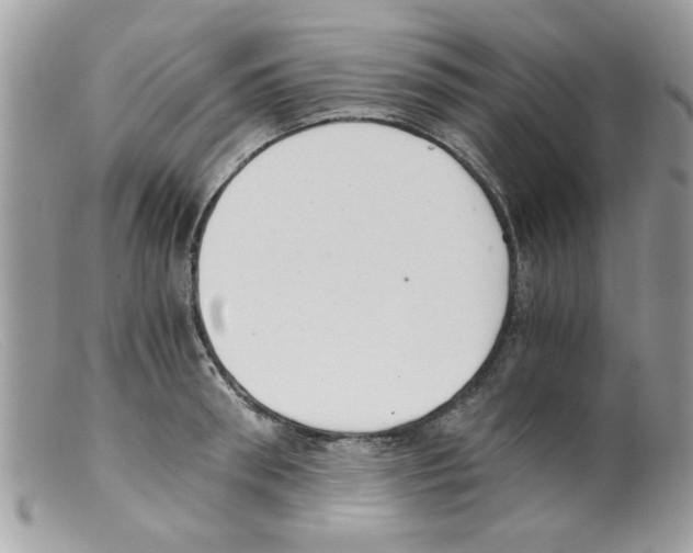 X0000098140898200805151137