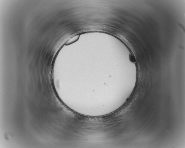 X0000098140901200805151137