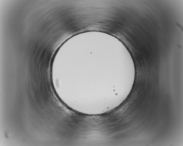 X0000098140902200805151137