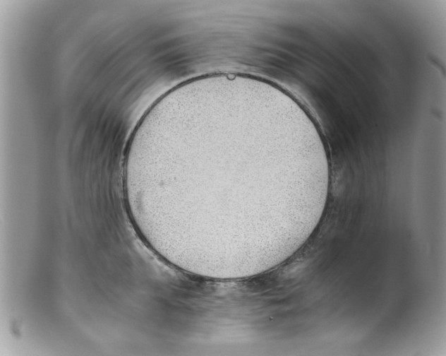 X0000098140903200805151137