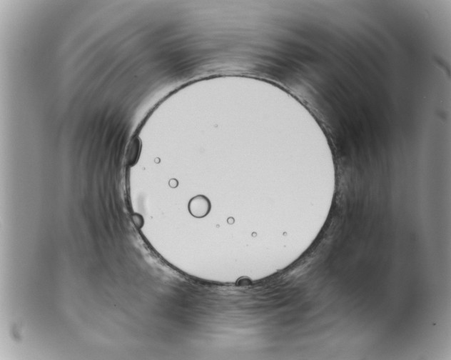 X0000098140904200805151137