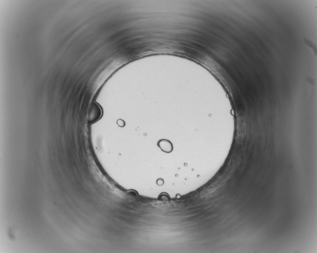 X0000098140906200805151137