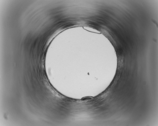 X0000098140908200805151137